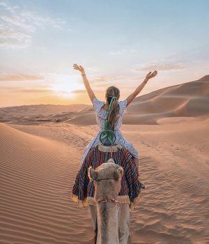 Deserto camelo por do sol